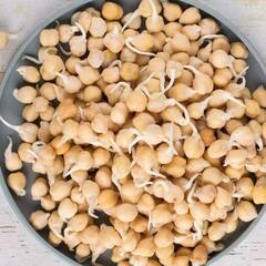 Black Chickpeas: ਮੀਟ ਨਾਲੋਂ ਵੀ ਵੱਧ ਫਾਇਦੇਮੰਦ ਹਨ ਕਾਲੇ ਛੋਲੇ, ਲਾਭ ਜਾਣਕੇ ਰਹਿ ਜਾਓਗੇ ਹੈਰਾਨ