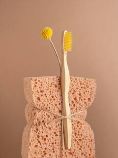 Oral Health : तुम्हीही चुकीच्या पद्धतीने दात घासत आहात का? 'या' 5 टिप्स फॉलो करा