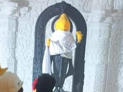 Ram Mandir Inauguration: राम मंदिर के गर्भगृह में प्रभु विराजमान, सामने आई मूर्ति की नई तस्वीरेंः विग्रह से जुड़े इन 5 सवालों के जानें जवाब