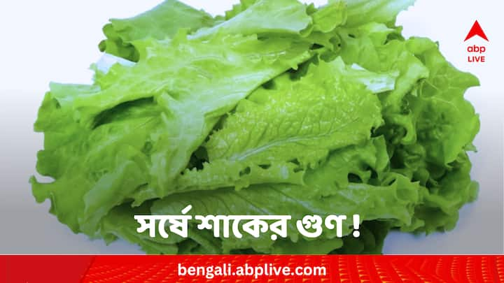 Mustard Greens Health Benefits: শীতের মরসুমে অনেকরকম সবজিই পাতে থাকছে। এবার পাতে রাখতে পারেন সর্ষের শাকও। একাধিক উপকারিতা রয়েছে এই শাকের।