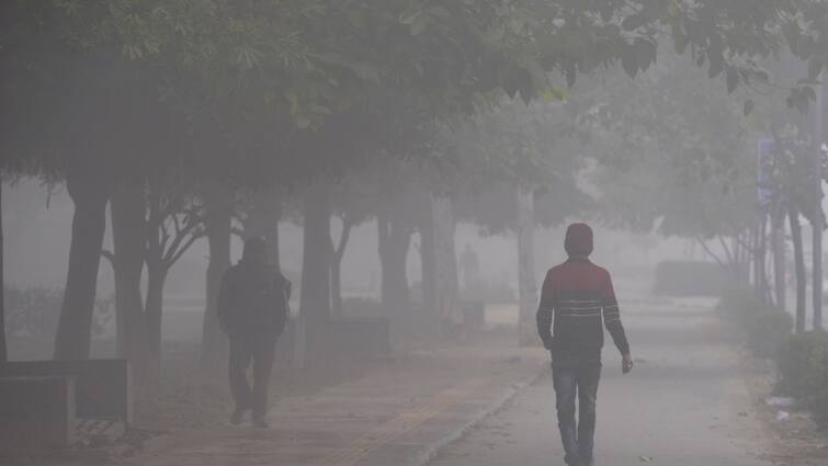 Orange Alert In Delhi Right now Amid Dense Fog, Minimal Temperature Possible To Settle At 7 Levels