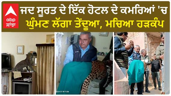 Surat Leopard। ਜਦ ਸੂਰਤ ਦੇ ਇੱਕ ਹੋਟਲ ਦੇ ਕਮਰਿਆਂ 'ਚ ਘੁੰਮਣ ਲੱਗਾ ਤੇਂਦੂਆ, ਮਚਿਆ ਹੜਕੰਪ
