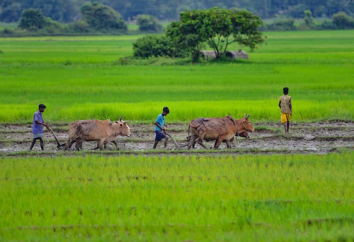 पीएम किसान योजना के तहत करीब 9 करोड़ से ज्यादा किसानों ने अपना रजिस्ट्रेशन करवाया है, जिन्हें अब तक योजना की 15 किस्तें मिल चुकी हैं.