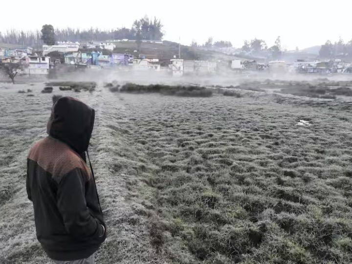 उत्तर भारत के अन्य राज्यों की पंजाब भी घने कोहरे की चपेट में है और शुक्रवार को भी यहां लोगों को धुंध से राहत नहीं मिलने वाली है. विजिबिलिटी के 50 मीटर तक पहुंचने के अलावा लोगों को कोल्ड डे भी अलर्ट किया गया है.