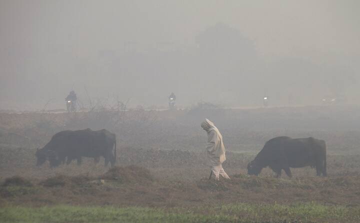 साथ ही आईएमडी ने भविष्यवाणी की है कि पंजाब, हरियाणा और चंडीगढ़ के कई हिस्सों में शनिवार सुबह तक और कुछ हिस्सों में रात/सुबह में कुछ घंटों के लिए और अगले चार दिनों तक कुछ हिस्सों में घने कोहरे की स्थिति बनी रह सकती है.