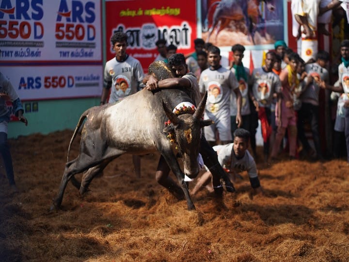 Jallikattu: அலங்காநல்லூர் ஜல்லிக்கட்டில் 2வது பரிசை வாங்க மறுத்த மாடுபிடி வீரர் அபிசித்தர் ஆட்சியர் அலுவலகத்தில் புகார்