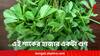 Fenugreek Leaves: গ্যাসের ব্যথা কাবু হবে, সুগারও থাকবে কবজায় ! এই শাকের হাজার একটা গুণ