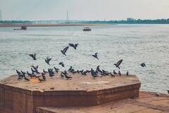 Varanasi Weather Update: हिवाळ्यात घाटांचे सौंदर्य वाढले ;दर आठवड्याला लाखो पर्यटकांची बनारसला वाढली गर्दी