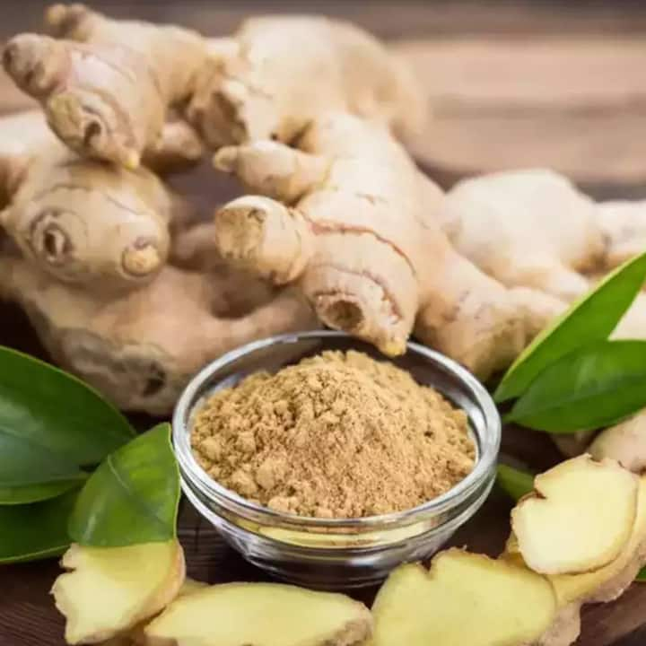 Benefits Of Ginger ਅਦਰਕ ਸਭ ਤੋਂ ਵਧੀਆ ਮੰਨਿਆ ਜਾਂਦਾ ਹੈ। ਇਸ ਨਾਲ ਕੁਝ ਹੀ ਦਿਨਾਂ 'ਚ ਖੰਘ ਦੀ ਸਮੱਸਿਆ ਤੋਂ ਛੁਟਕਾਰਾ ਮਿਲ ਸਕਦਾ ਹੈ। ਇਸ ਦੇ ਨਾਲ ਹੀ ਅਦਰਕ 'ਚ ਐਂਟੀ-ਇੰਫਲੇਮੇਟਰੀ ਗੁਣ ਹੁੰਦੇ ਹਨ, ਜੋ ਜ਼ੁਕਾਮ ਅਤੇ ਖਾਂਸੀ ਦੀ ਸਮੱਸਿਆ ਨੂੰ