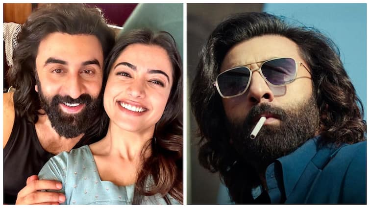 Rashmika Mandanna On Slapping Ranbir Kapoor In  Sandeep Reddy Vanga’s Animal Rashmika Mandanna Recalls Slapping Ranbir Kapoor In Animal: 'I Was Crying For Real'