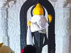 रामलला की मूर्ति में विष्णु के दशावतार, जानें क्या कुछ है खास?