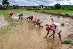 PM Kisan Yojana: पीएम किसान योजना में इस राज्य के लोग सबसे ज्यादा, इतने करोड़ का है आंकड़ा