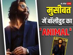 रणबीर कपूर की एनिमल का OTT पर इंतजार कर रहे फैंस को बड़ा झटका, मुसीबत में फिल्ममेकर
