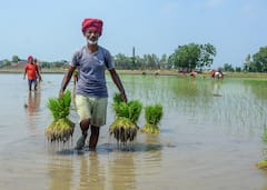 PM Kisan Yojana: पीएम किसान योजना में इस राज्य के लोग सबसे ज्यादा, इतने करोड़ का है आंकड़ा
