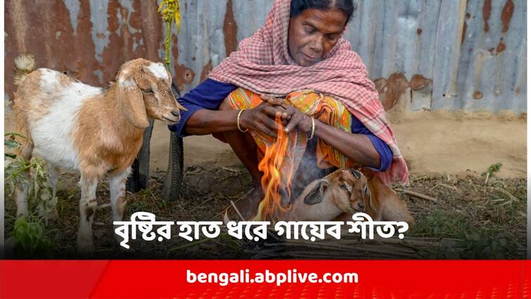 West Bengal Weather Update Temperature Rise in Bengal 19 January Update Weather Update : বৃষ্টির পর ঠকঠক করে কাঁপছেন? তাপমাত্রা কিন্তু গিয়েছে বেড়ে ! আবার কবে শীতের কামড়