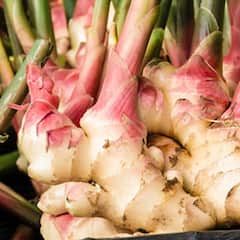 Benefits Of Ginger: ਸੁੱਕੀ ਖੰਘ ਵਾਲੇ ਇੰਝ ਕਰਨ ਅਦਰਕ ਦਾ ਸੇਵਨ ਤਾਂ ਹੋਣਗੇ ਭਰਪੂਰ ਲਾਭ