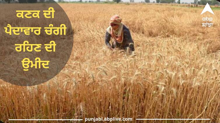 Relief news for farmers Wheat production is expected to remain good Agriculture News: ਕਿਸਾਨਾਂ ਲਈ ਰਾਹਤ ਦੀ ਖ਼ਬਰ ! ਕਣਕ ਦੀ ਪੈਦਾਵਾਰ ਚੰਗੀ ਰਹਿਣ ਦੀ ਉਮੀਦ, ਜਾਣੋ ਕਿਸਨੇ ਕੀਤੀ ਪੇਸ਼ਨਗੋਈ ?