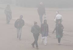 Delhi-Haryana-Punjab Weather: दिल्ली-हरियाणा और पंजाब में पड़ रही गलाने वाली ठंड, IMD ने बताया अब कैसा रहेगा मौसम?