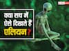 एलियन को हमेशा छोटे और हरे रंग के जीव के तौर पर ही क्यों दिखाया जाता है? यहां है हर सवाल का जवाब