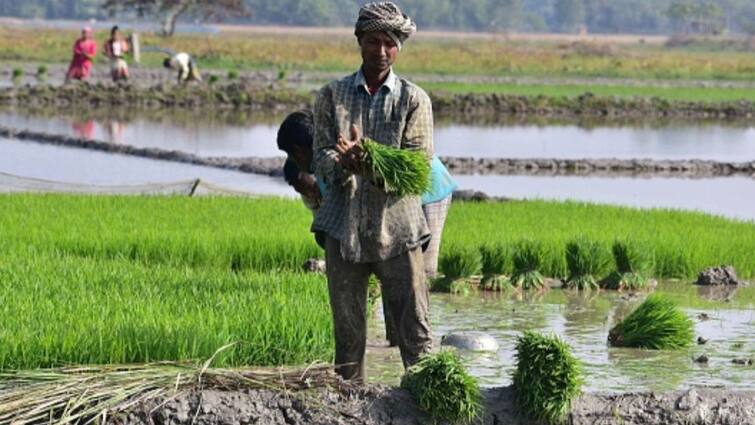 Retail Inflation For Farm Workers Rises To 7.71 Per Cent In December Retail Inflation For Farm Workers Rises To 7.71 Per Cent In December