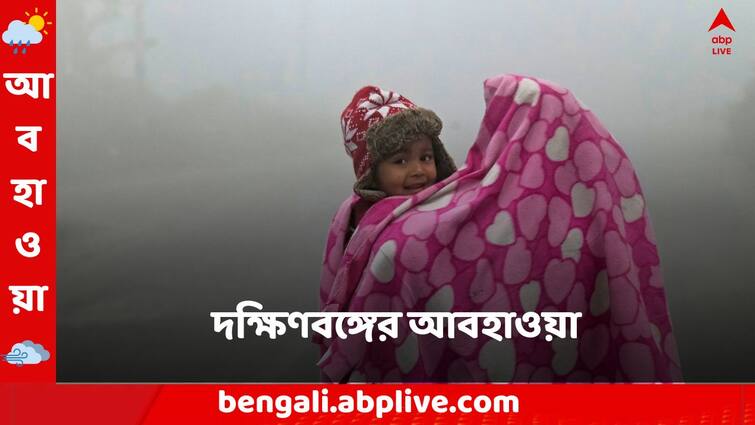 Weather Update And Forecast Of South Bengal For 20 January 2024 South Bengal Weather:কাল থেকে শুষ্ক আবহাওয়া দক্ষিণবঙ্গে, আপনার জেলায় কী রকম থাকবে হাওয়া-বাতাসের মতিগতি?