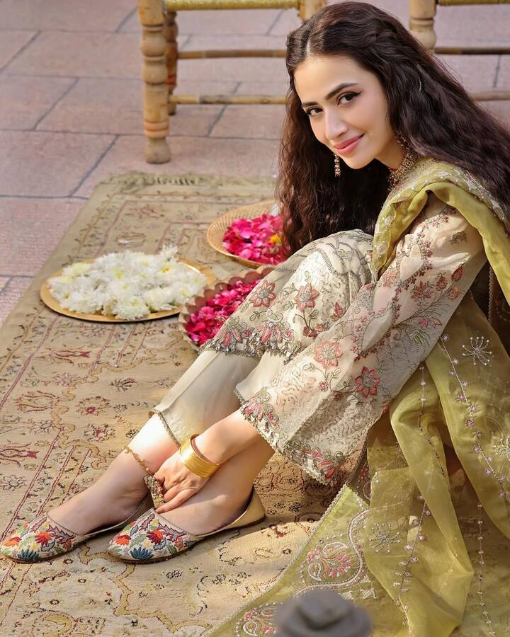 After making her television debut in Shehr-e-Zaat in 2012, she went on to feature in several serials.