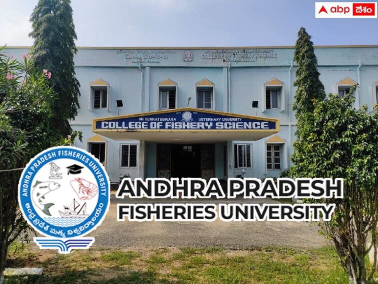 APFU has released notification for the recruitment of Guest Faculty Posts APFU: ఏపీ ఫిషరీస్ యూనివర్సిటీలో గెస్ట్ ఫ్యాకల్టీ పోస్టులు, ఈ అర్హతలుండాలి