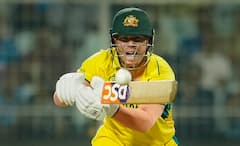 WI vs AUS T20I Series: David Warner On Verge Of Accomplishing 'Rare Feat', Join Virat Kohli & Ross Taylor In Elite List