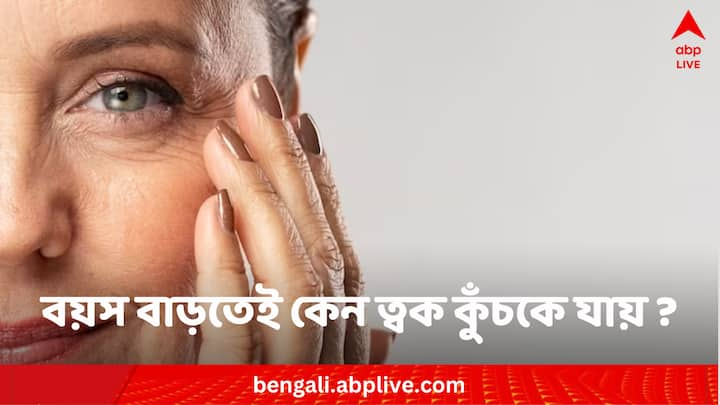 Skin ageing wrinkles reason: বয়স বাড়ার সঙ্গে সঙ্গে মুখ ও হাত-পায়ের ত্বক কুঁচকে যেতে থাকে। কেন এমনটা হয়?