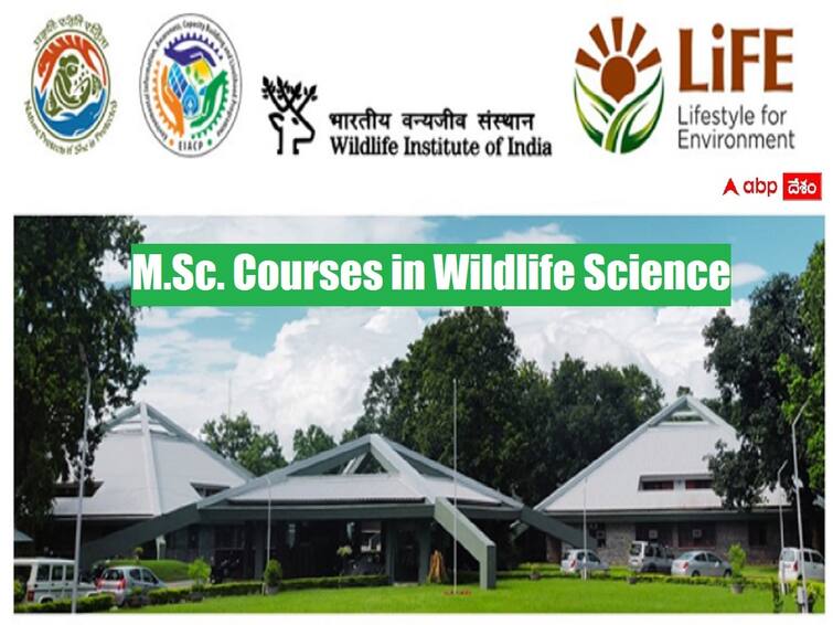 Wildlife Institute of India has released notifications for admissions into pg courses WII PG Courses: వైల్డ్‌లైఫ్ ఇన్‌స్టిట్యూట్‌ ఆఫ్ ఇండియాలో పీజీ ప్రవేశాలు, వివరాలు ఇలా