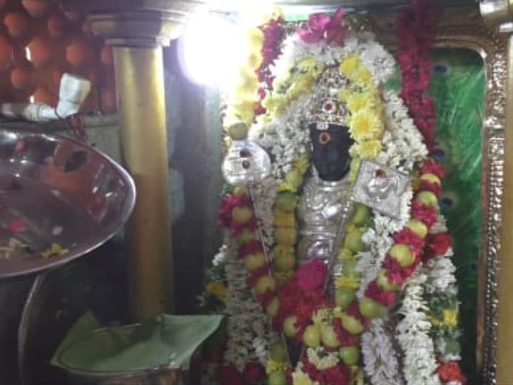 தை மாத கிருத்திகை; கரூர் ஸ்ரீ குபேர சக்தி விநாயகர் ஆலய பாலமுருகனுக்கு சிறப்பு அபிஷேகம்