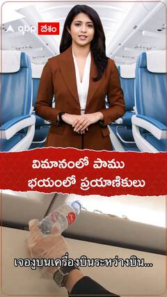 విమానంలో పాము.. హడలెత్తిన ప్రయాణికులు