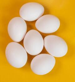 Health Tips: ਇਨ੍ਹਾਂ ਬਿਮਾਰੀਆਂ 'ਚ ਅੰਡਾ ਦਾ ਸੇਵਨ ਘਾਤਕ! ਨਕਾਰਾ ਹੋ ਸਕਦੇ ਸਰੀਰ ਦੇ ਅੰਗ