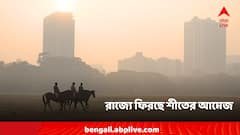 শীতের আমেজ ফিরল বাংলায়, মাসের শেষে বাড়বে আরও দাপট?