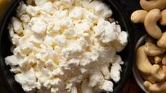 Meat Replacements: নিরামিষ হলেও ঘাটতি নেই গুণে, মাছ-মাংসের বিকল্প হতে পারে এই খাবারগুলি