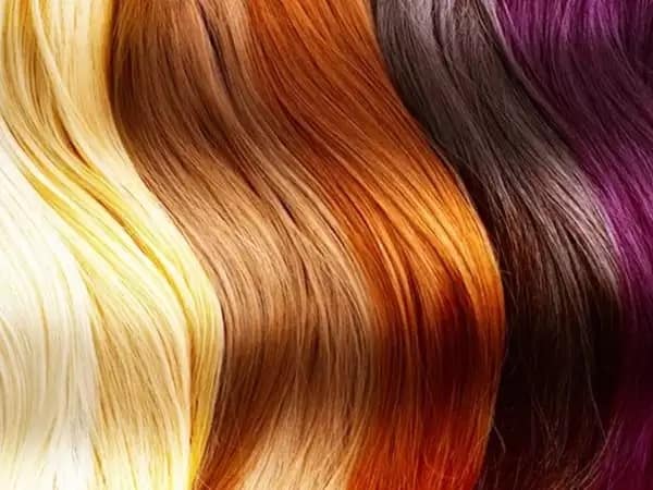 Hair Colour Tips: ખરાબ આહાર શૈલી અને તણાવ પ્રદૂષણ વગેરે કારણો સફેદ વાળ માટે જવાબદાર છે. સામાન્ય રીતે વાળને કાળા કરવા માટે કૈમિકલ યુક્ત ડાયનો ઉપયોગ લોકો કરતા હોય છે. જે નુકસાનકારક છે. આજે નેચરલ ઉપાય હેર કલરના જણાવીશું જેનાથી નુકસાન નહિ પણ વાળને વધુ ફાયદો પહોંચશે.