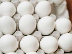 Health Tips: 'या' आजारांमध्ये अंडी खाऊ नयेत; शरीराचे 'हे' भाग होऊ शकतात खराब