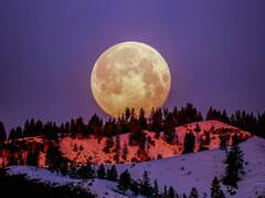 ਦੁਨੀਆ ਦੇ ਕਿਹੜੇ 5 ਦੇਸ਼ਾਂ ਨੇ ਚੰਦ ਤੱਕ ਕੀਤਾ ਹੈ ਸਫ਼ਰ ਤੈਅ, ਦੇਖੋ ਪੂਰੀ ਸੂਚੀ