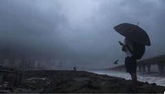 कमी बर्फवृष्टीचा परिणाम मान्सूनवर, चांगला पाऊस होण्याची शक्यता; भारतीय हवामान विभागाचा अंदाज काय?