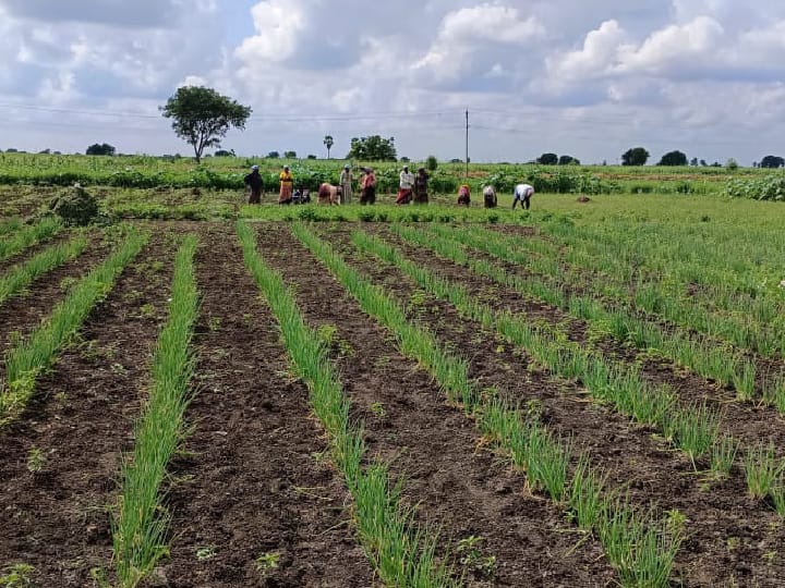 Agriculture: கோரிக்கை வைத்த விவசாயிகள்- பயிர்களுக்கு காப்பீட்டு தொகையை விடுவித்த அரசுகள்