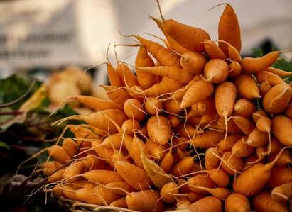 Kitchen Gardening Tips: ਤੁਸੀਂ ਆਪਣੀ ਕਿਚਨ ਗਾਰਡਨ ਵਿੱਚ ਗਾਜਰ ਉਗਾ ਸਕਦੇ ਹੋ। ਇਸ ਨਾਲ ਤੁਹਾਨੂੰ ਘਰ ਚ ਤਾਜ਼ੀ ਗਾਜਰ ਮਿਲੇਗੀ ਅਤੇ ਖਰਚਾ ਵੀ ਬਚੇਗਾ।