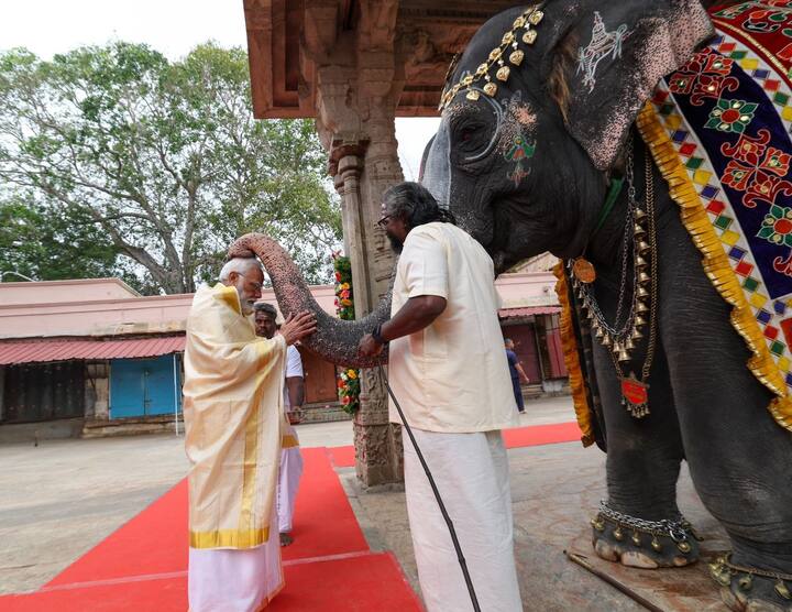 The temple elephant played mouth organ to the PM and blessed him (Credit: X/@ANI)