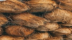 Hair care tips:नारळाच्या तेलापासून पांढरे केस काळे करा !