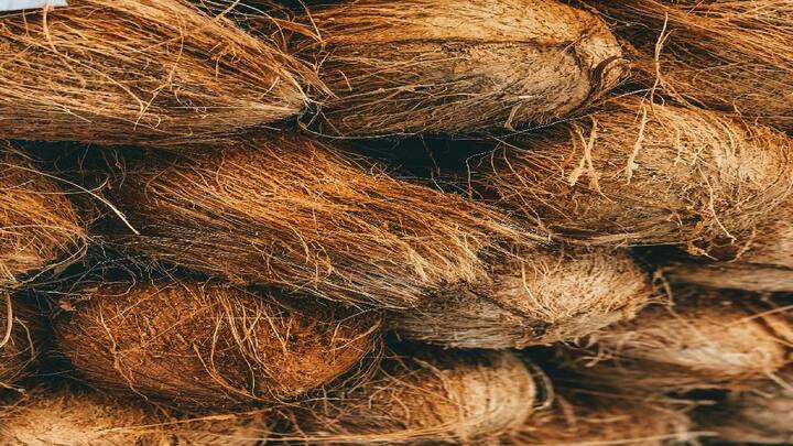 Hair care tips: पांढऱ्या केसांना काळे करण्यासाठी नारळाच्या सालीचा असा वापर करा (Photo credit: Unsplash)