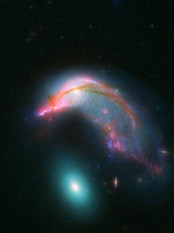 स्पेस में दिखा Penguin! नासा ने शेयर की तस्वीर