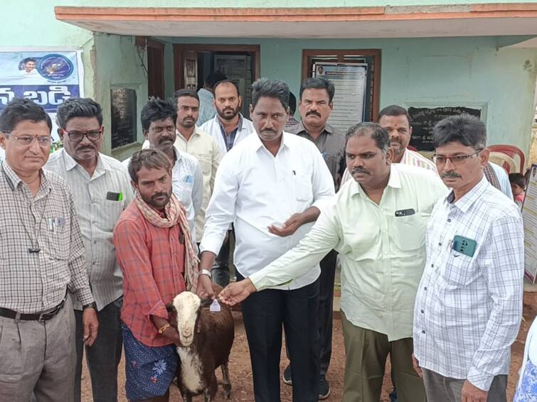 YSRCP nandikotkur MLA Arthur made a sensational comments on YSRCP high command Nandikotkur MLA Arthur : ఎస్సీ నియోజకవర్గంలో రెడ్డి ఇంచార్జి - అధిష్ఠానంపై వైసీపీ ఎమ్మెల్యే సంచలన కామెంట్స్