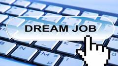 Jobs 2024: એડમિનિસ્ટ્રેટિવ ઓફિસરની નોકરી મેળવવાનો સોનેરી મોકો, આ તારીખ પહેલા કરો અરજી
