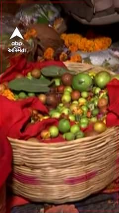 Ayodhya Ram Mandir | માતા શબરીના બોર પહોંચ્યા અયોધ્યા