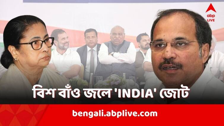 'INDIA' alliance in twenty left water in Bengal! Trinamool will fight alone in the 42 seats of the 2024 Lok Sabha elections? Loksabha Election: 'হারিয়ে বড় হয়েছি, কাউকে পরোয়া করি না', 'INDIA' জোট প্রসঙ্গে প্রশ্ন উস্কে মন্তব্য অধীরের