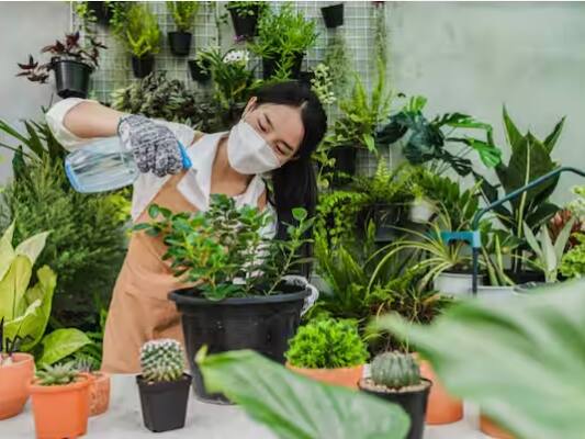 ਕਿਚਨ ਗਾਰਡਨਿੰਗ ਕਰਨ ਨਾਲ ਅਸੀਂ ਕੁਦਰਤ ਨੂੰ ਵੀ ਪੋਸ਼ਣ ਦਿੰਦੇ ਹਾਂ ਕਿਉਂਕਿ ਹਰਿਆਲੀ ਵਧਦੀ ਹੈ ਅਤੇ ਵਾਤਾਵਰਨ ਸ਼ੁੱਧ ਰਹਿੰਦਾ ਹੈ। ਇਹ ਸਾਡੇ ਲਈ ਮਨੋਰੰਜਨ ਦਾ ਵੀ ਕੰਮ ਕਰਦਾ ਹੈ ਕਿਉਂਕਿ ਪੌਦਿਆਂ ਦੀ ਦੇਖਭਾਲ ਕਰਨਾ ਮਜ਼ੇਦਾਰ ਹੁੰਦਾ ਹੈ। ਅਸੀਂ ਕੁਝ ਸਮਾਂ ਕੱਢ ਕੇ ਕਿਚਨ ਗਾਰਡਨਿੰਗ ਕਰ ਸਕਦੇ ਹਾਂ।